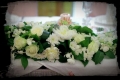 floristic