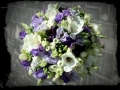 floristic