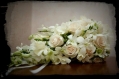 floristic